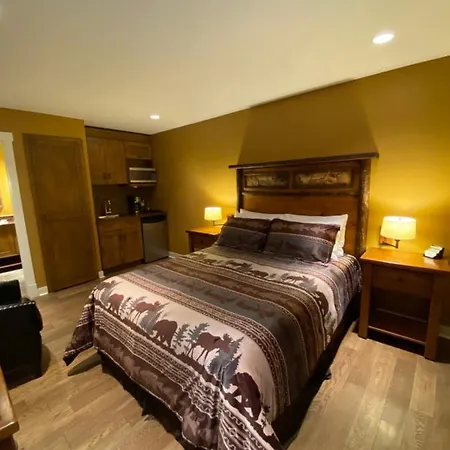 Fitzhugh House Guest Accomodation-3